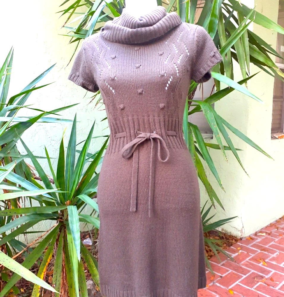 Brown Belted Sweater Dress - Picture 2 of 6